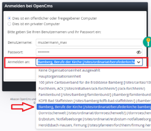 Einloggen in OpenCms